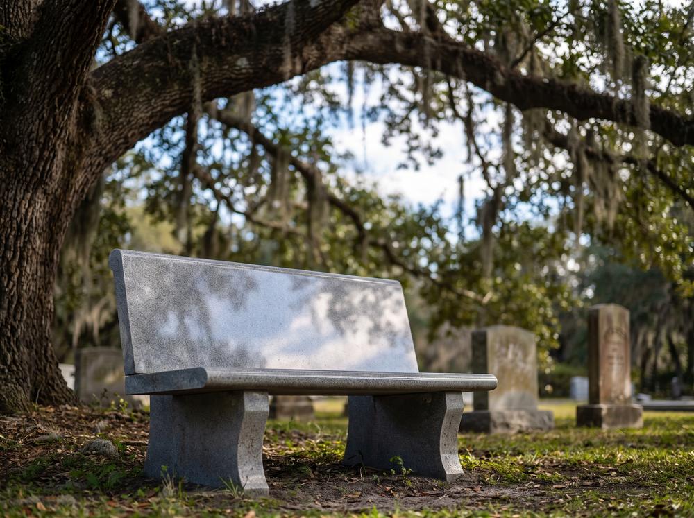 Granite memorial bench beneath an oak tree